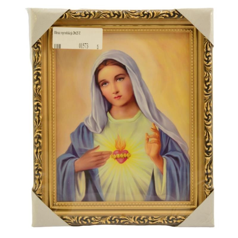 Obraz reprodukcja 20/25 ZŁOTY mix